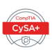 cysa1 (1) (1) cysa1 (1) (1)